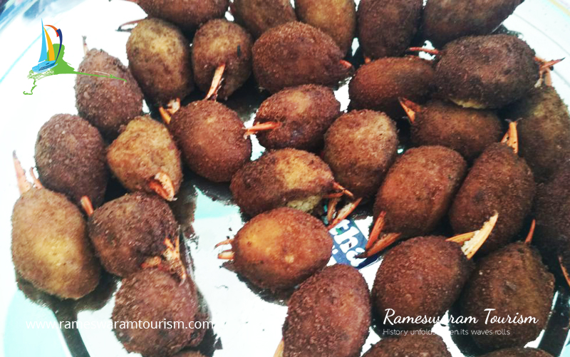 rameswaram-sea-food-festival
