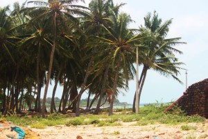 beach park rameswaram