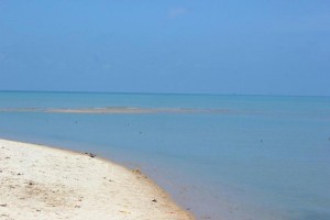 dhanushkodi beach gulf of mannar