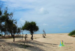 dhanushkodi sightseeing