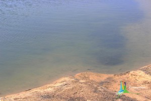 dhanuskodi gulf of mannar marine national park visit