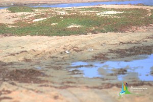 how to reach gulf of mannar marine national park