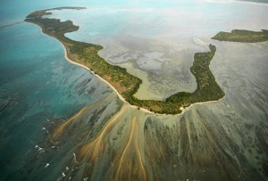 kurusadai island in rameswaram