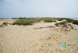 rameshwaram dhanushkodi places