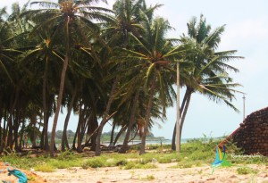 rameshwaram island sightseeing