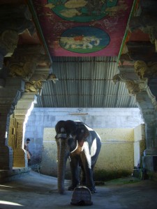 rameshwaram temple poojas