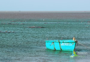 rameswaram corals reef cab boat