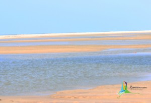 rameswaram dhanushkodi map