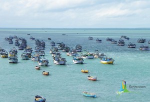 rameswaram dhanushkodi pictures