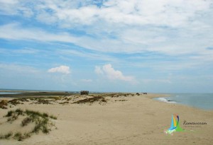 rameswaram dhanushkodi tour