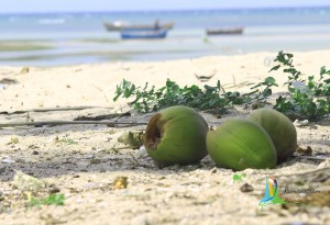rameswaram nature scenes tourism sightseeing