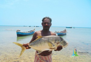 rameswaram sightseeing attractions