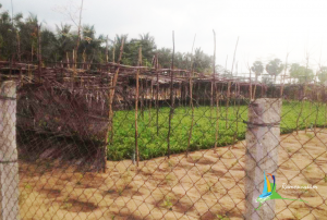 thangachimadam images