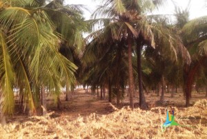 thangachimadam photos