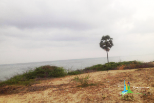 thangachimadam tamilnadu india