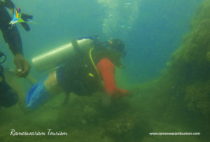Scuba diving-underwater-sea-Rameswaram