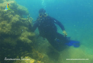 scuba diving in rameshwaram