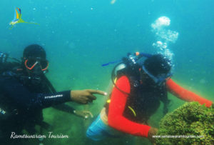 scuba diving in rameswaram