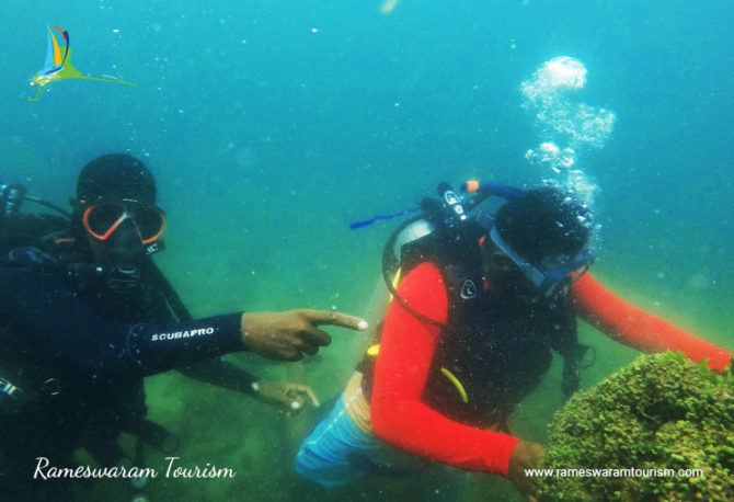 scuba diving in rameswaram