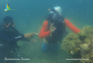 scuba diving rameswaram