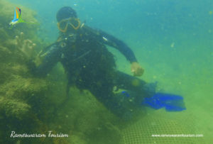 scuba rameshwaram watersports