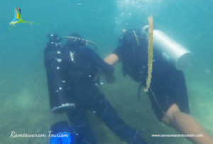 scuba rameswaram watersports