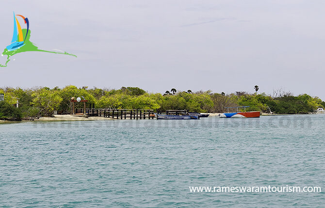 Kurusadai Island Pamban