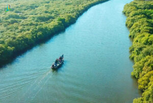Karankadu Mangrove boating