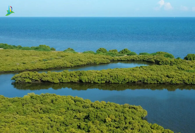 Karankadu M Ramanathapuram