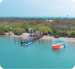 kurusadai island theevu rameswaram